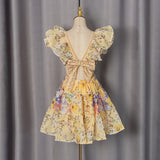 French Flying Sleeves Dress